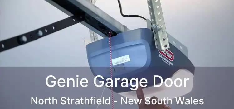 Genie Garage Door North Strathfield - New South Wales