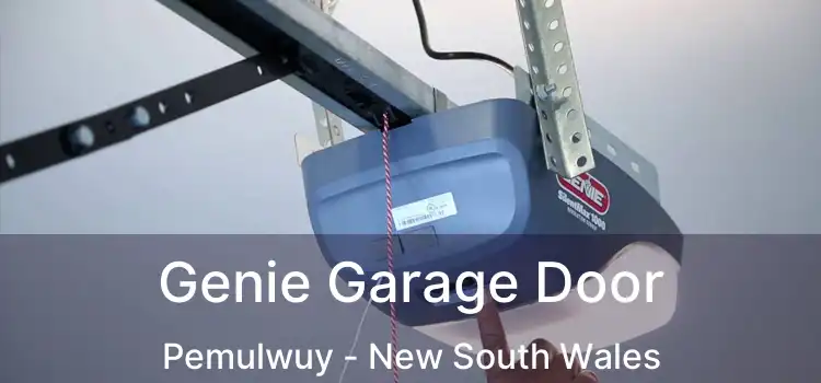 Genie Garage Door Pemulwuy - New South Wales