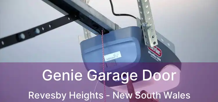 Genie Garage Door Revesby Heights - New South Wales