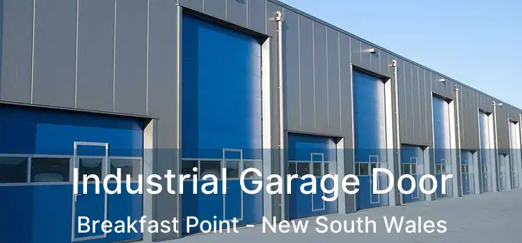 Industrial Garage Door Breakfast Point - New South Wales