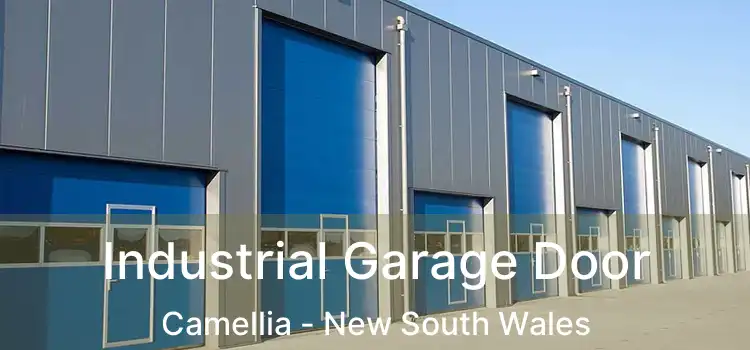 Industrial Garage Door Camellia - New South Wales