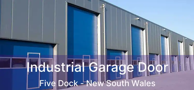 Industrial Garage Door Five Dock - New South Wales