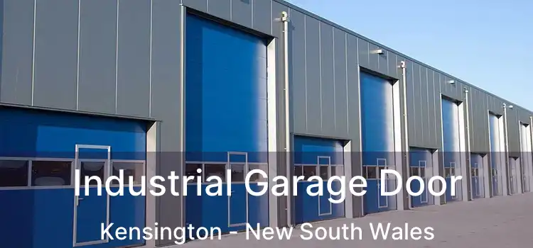 Industrial Garage Door Kensington - New South Wales