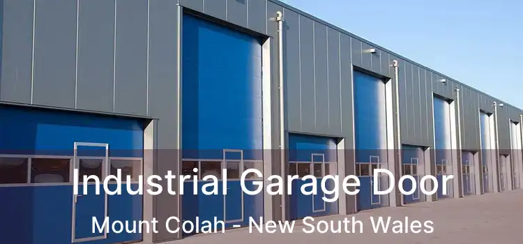 Industrial Garage Door Mount Colah - New South Wales