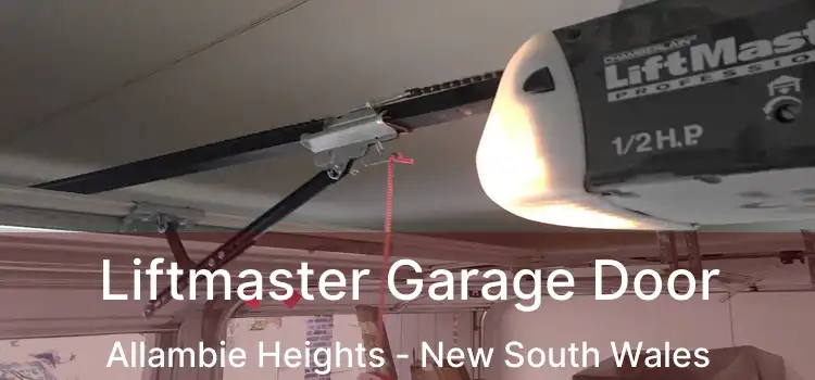 Liftmaster Garage Door Allambie Heights - New South Wales