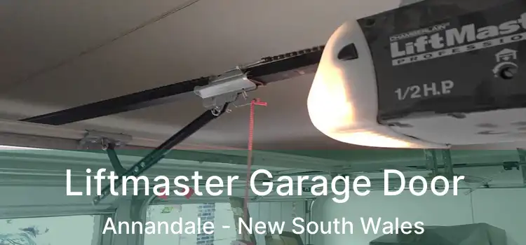 Liftmaster Garage Door Annandale - New South Wales