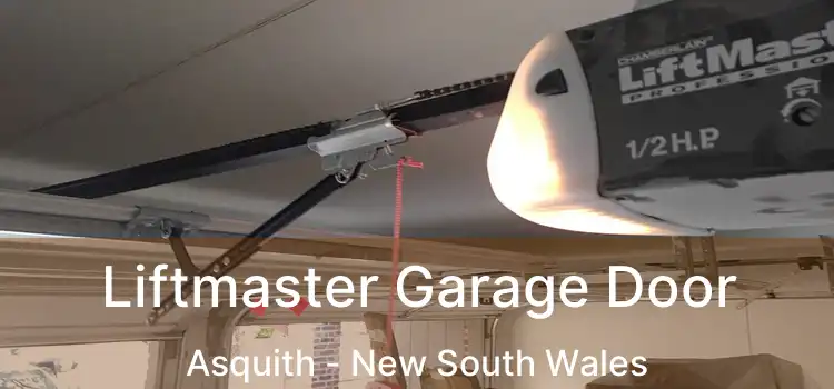 Liftmaster Garage Door Asquith - New South Wales