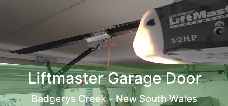 Liftmaster Garage Door Badgerys Creek - New South Wales