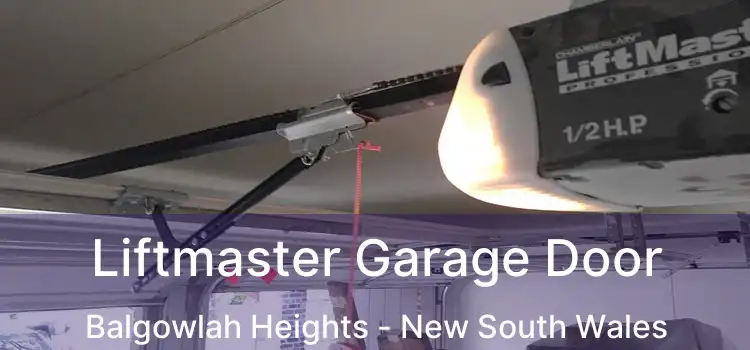 Liftmaster Garage Door Balgowlah Heights - New South Wales