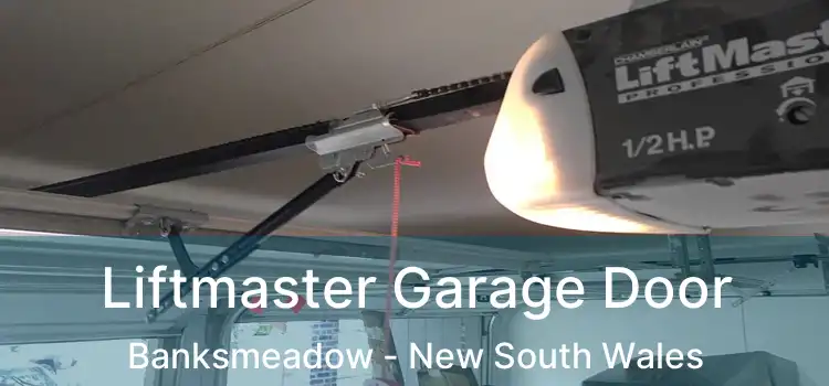 Liftmaster Garage Door Banksmeadow - New South Wales