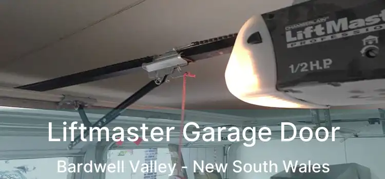 Liftmaster Garage Door Bardwell Valley - New South Wales