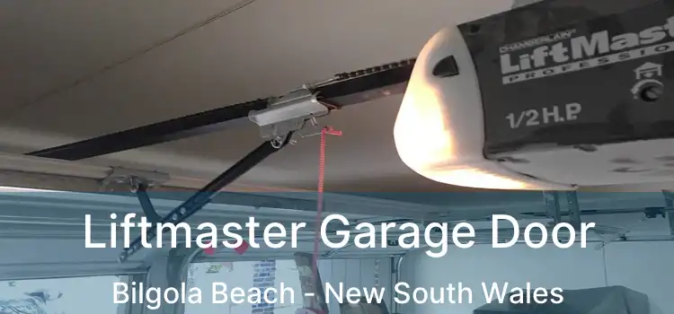Liftmaster Garage Door Bilgola Beach - New South Wales