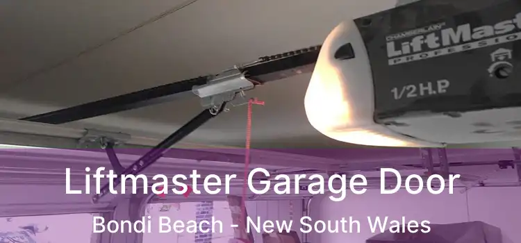 Liftmaster Garage Door Bondi Beach - New South Wales