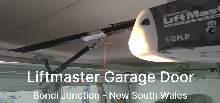Liftmaster Garage Door Bondi Junction - New South Wales