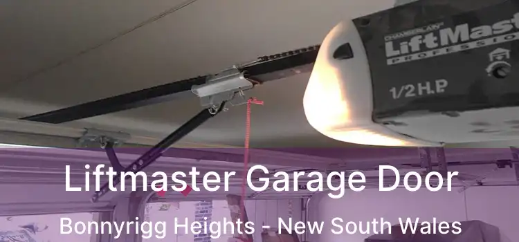 Liftmaster Garage Door Bonnyrigg Heights - New South Wales