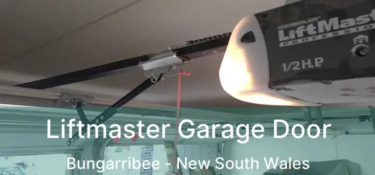 Liftmaster Garage Door Bungarribee - New South Wales