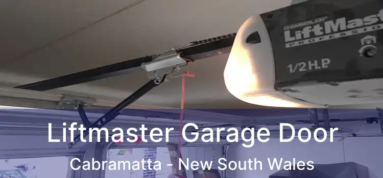 Liftmaster Garage Door Cabramatta - New South Wales