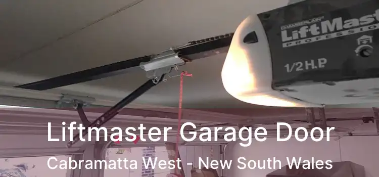 Liftmaster Garage Door Cabramatta West - New South Wales