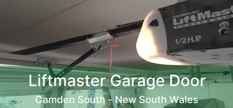 Liftmaster Garage Door Camden South - New South Wales