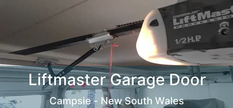 Liftmaster Garage Door Campsie - New South Wales