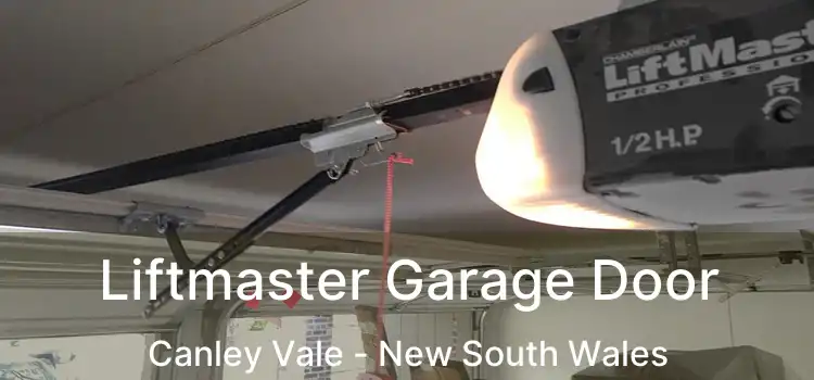 Liftmaster Garage Door Canley Vale - New South Wales