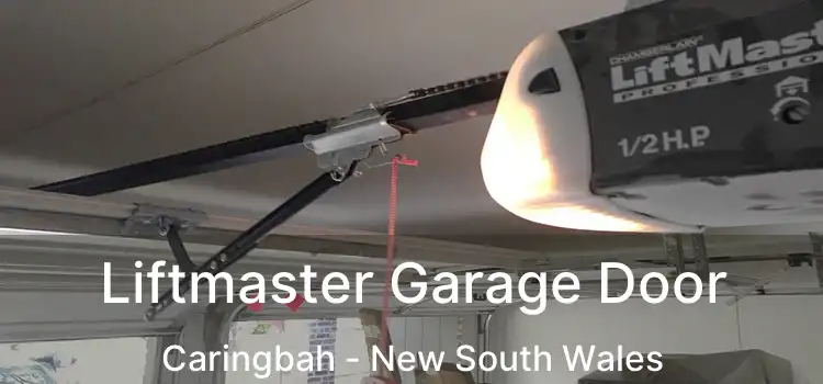 Liftmaster Garage Door Caringbah - New South Wales