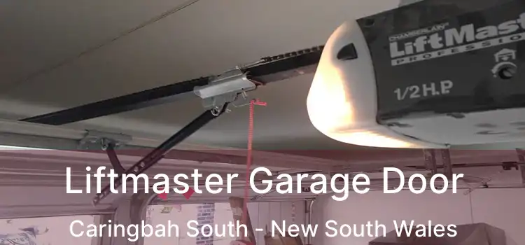 Liftmaster Garage Door Caringbah South - New South Wales