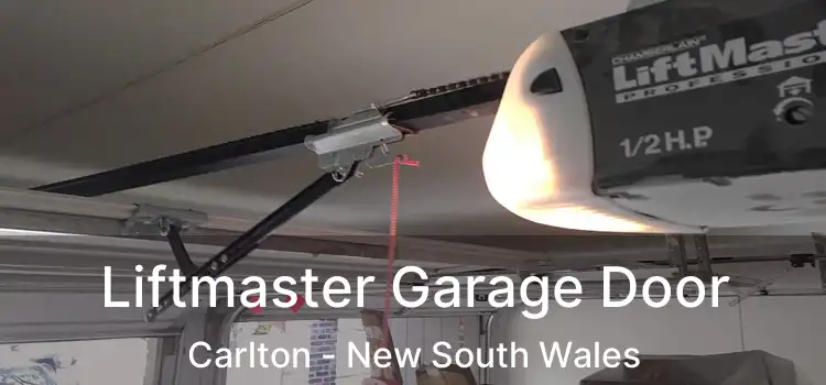 Liftmaster Garage Door Carlton - New South Wales