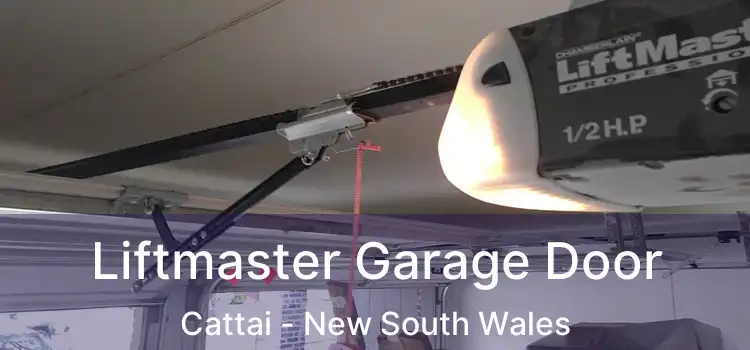 Liftmaster Garage Door Cattai - New South Wales