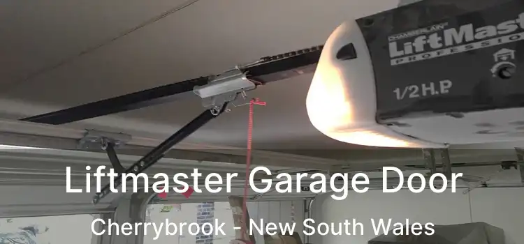 Liftmaster Garage Door Cherrybrook - New South Wales