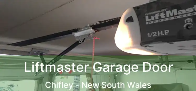 Liftmaster Garage Door Chifley - New South Wales