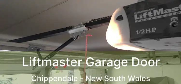 Liftmaster Garage Door Chippendale - New South Wales
