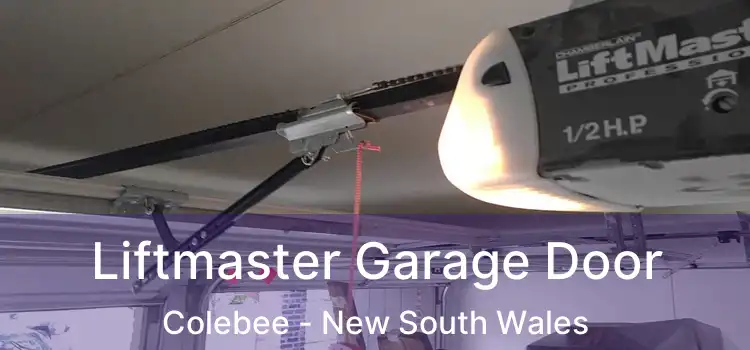 Liftmaster Garage Door Colebee - New South Wales
