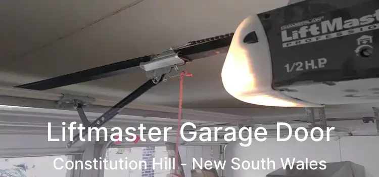 Liftmaster Garage Door Constitution Hill - New South Wales