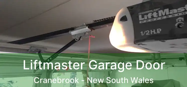 Liftmaster Garage Door Cranebrook - New South Wales