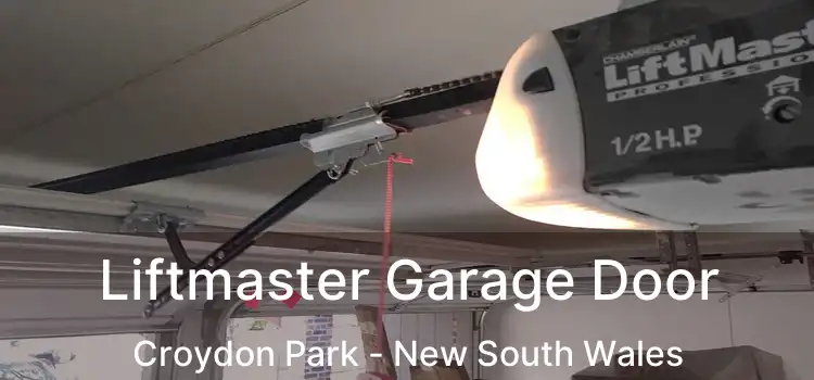 Liftmaster Garage Door Croydon Park - New South Wales