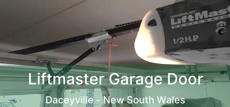 Liftmaster Garage Door Daceyville - New South Wales
