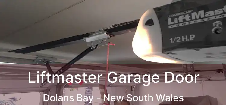 Liftmaster Garage Door Dolans Bay - New South Wales