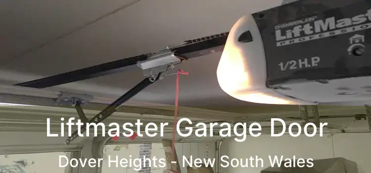Liftmaster Garage Door Dover Heights - New South Wales
