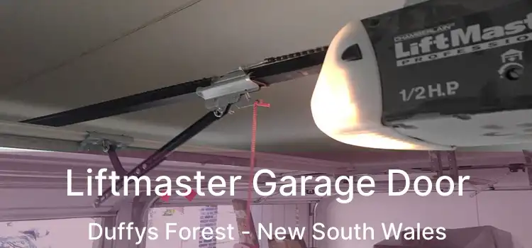 Liftmaster Garage Door Duffys Forest - New South Wales
