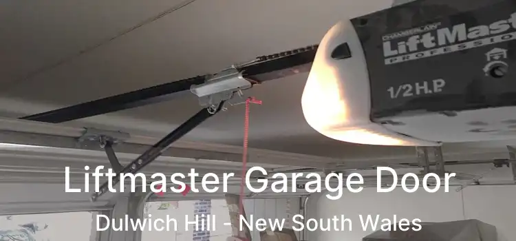 Liftmaster Garage Door Dulwich Hill - New South Wales