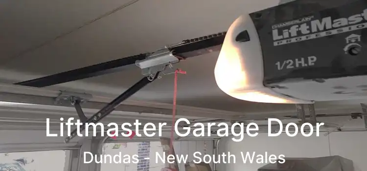 Liftmaster Garage Door Dundas - New South Wales