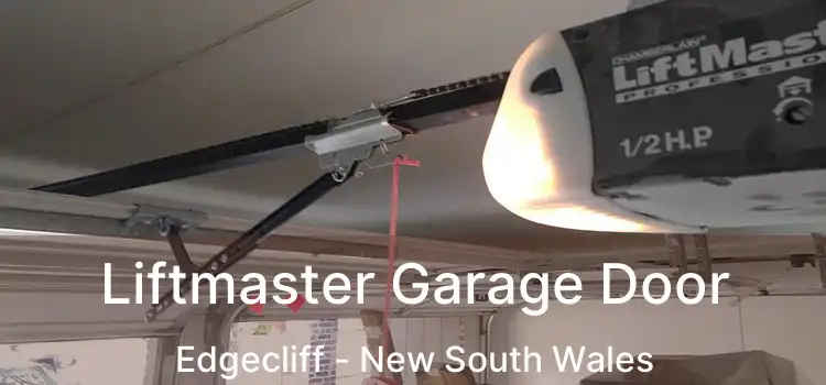 Liftmaster Garage Door Edgecliff - New South Wales