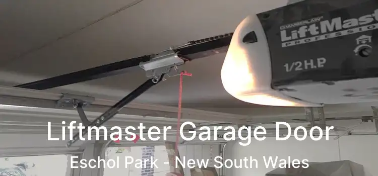 Liftmaster Garage Door Eschol Park - New South Wales