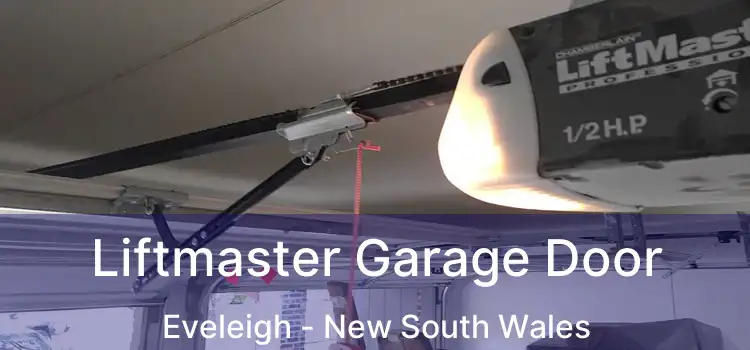 Liftmaster Garage Door Eveleigh - New South Wales