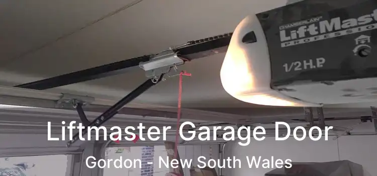 Liftmaster Garage Door Gordon - New South Wales