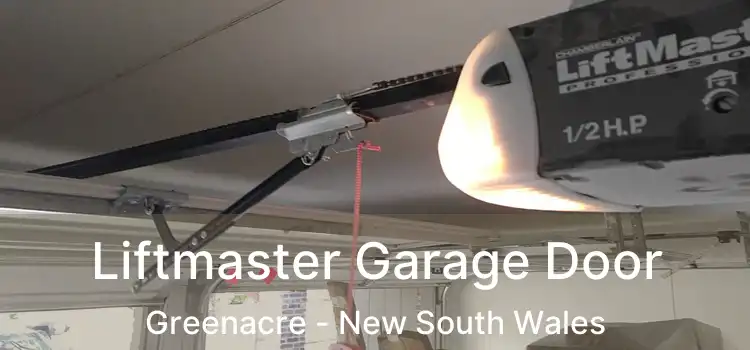 Liftmaster Garage Door Greenacre - New South Wales