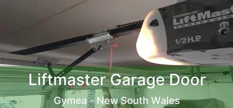 Liftmaster Garage Door Gymea - New South Wales