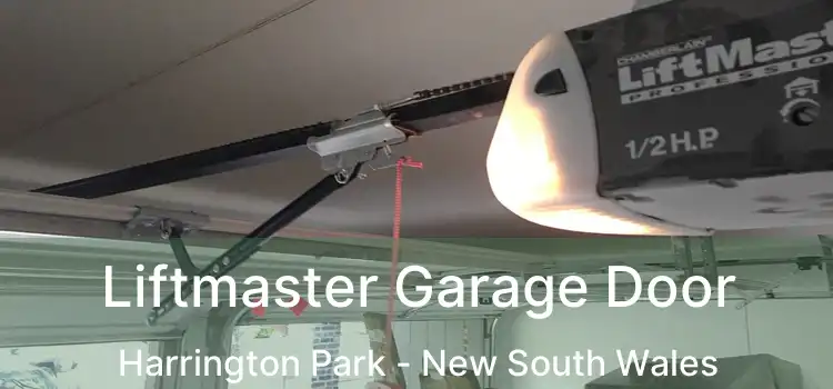 Liftmaster Garage Door Harrington Park - New South Wales