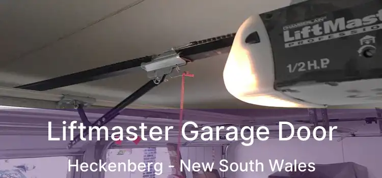 Liftmaster Garage Door Heckenberg - New South Wales